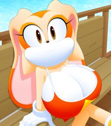 1girls 2020s 2023 aged_up anthro big_breasts boob_window bra breasts clothed clothing cream_the_rabbit ear eyelashes eyes female female_only fur huge_breasts humanoid large_breasts legs mouth nose partially_clothed pixiv rabbit rabbit_ears rabbit_girl rabbit_humanoid sega slickehedge sonic_(series) sonic_advance sonic_advance_2 sonic_the_hedgehog_(series) url