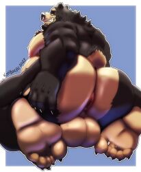 2023 absurd_res anthro anus artist_name ass back_muscles balls bear big_butt black_bear black_body black_fur blue_background border brown_eyes butt_focus claws cursedmarked dated deltoids facial_piercing feet finger_claws fizzy fur genitals hand_on_butt hi_res looking_at_viewer looking_back male mammal multicolored_body multicolored_fur nipples nose_piercing nose_ring pecs piercing ring_piercing septum_piercing septum_ring simple_background small_tail soles solo tail tan_body tan_fur toe_claws triceps two_tone_body two_tone_fur ursine white_border