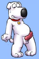 balls blush brian_griffin canine canine_penis cobalthusky collar embarrassed erection family_guy knot male male_only penis solo