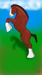 absurd_res animal_genitalia beleroch_(oc) black_sheath brown_body brown_fur draft_horse equid equine feathered_legs feathering feral fur genitals hi_res horse juggernaut217 male mammal mane muscular muscular_male on_hind_legs shadow sheath short_mane short_tail simple_background solo tail white_body white_fur