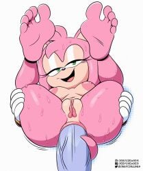 1boy 1girls 2023 5_toes amy_rose anal anal_sex anthro anus bodily_fluids breasts deepcreases eulipotyphlan feet female female_focus female_penetrated first_person_view fur genitals green_eyes hedgehog hi_res humanoid_feet legs_up looking_at_viewer male male/female male_penetrating male_penetrating_female mammal nipples nude penetration penile penile_penetration penis penis_in_ass pink_body pink_fur plantigrade pussy sega simple_background small_breasts soles solo_focus sonic_(series) sonic_the_hedgehog_(series) sweat tail tail_around_penis tail_fetish tail_play toes white_background