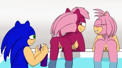 amy_rose implied_incest incest sonia_the_hedgehog sonic_(series) sonic_the_hedgehog sonic_the_hedgehog_(series) water