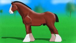 anatomically_correct animal_genitalia beleroch_(oc) black_sheath blurred_background brown_body brown_fur equid equine feathered_legs feathering feral fur genitals hi_res horse male mammal max_horse_(artist) shadow sheath short_mane short_tail side_view simple_background solo tail white_body white_fur