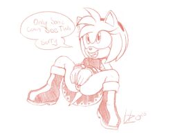 amy rose from sega by havoczo