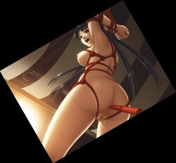 bondage censored cg eroge hana_to_hebi