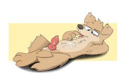 anthro blue_eyes bodily_fluids brown_body brown_fur canid canine canis cum cum_in_mouth cum_inside domestic_dog drinking drinking_cum erection fur genital_fluids genitals hi_res licking_cum lying male mammal narrowed_eyes penis relaxing simple_background solo tinnier tongue white_background yellow_background