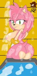 amy_rose big_breasts looking_at_viewer sonic_(series) sweaty_body sweaty_butt tub water