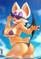 absurd_res anthro anthro_only bat bearbeer bikini breasts clothing female hi_res mammal rouge_the_bat sega sky solo sonic_(series) swimwear tagme twintailsfox