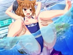 1boy 1girls animal_ears animated blush bouncing_breasts breasts breasts_out brown_eyes brown_hair censored clothed_sex dog_ears dog_girl dog_tail faceless faceless_male feet game_cg honoo_no_haramase_paidol_my_star_gakuen_z hoshizaki_hime hoshizaki_hokuto indoors lifting_person mosaic_censoring no_sound oerba_yun_fang open_mouth partially_submerged partially_underwater_shot penis pool pussy school_swimsuit sex shorts small_breasts squeez_(artist) straight swimsuit tagme tail thighs underwater underwater_sex vaginal_penetration video water yuibi