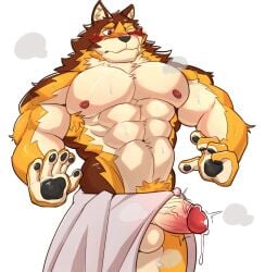 abs anthro aquaticrecon balls barrel_(live_a_hero) blush bodily_fluids canid canine canis erection genital_fluids genitals hi_res humanoid_genitalia humanoid_penis lifewonders live_a_hero male mammal muscular muscular_anthro muscular_male musk_clouds nipples pawpads pecs penis precum solo sweat towel vein veiny_penis wolf