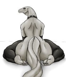 betty_the_komodo_dragon betty_the_monitor choker grey_body hxveuseenmypen komodo_dragon lizard no_visible_genitalia non-human non-human_only reptile stockings