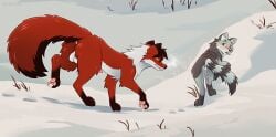 1boy 1girls adelar_elric all_fours anus balls canid canine canis duo erection female feral fox fur genitals hi_res looking_back male male/female mammal outside penis pussy red_body red_fur snow walking wolf yellow_eyes