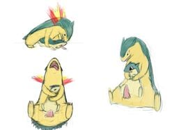 cum dancingchar female fire male penis pokemon pokemon_(species) pussy quilava sex size_difference straight straight_hair typhlosion