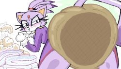 blaze_the_cat catgirl diaper female_only furry purple_body scat shart unknown_artist