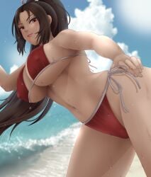 beach bikini brown_eyes brown_hair fatal_fury huge_breasts king_of_fighters long_hair mai_shiranui ponytail seaside voluptuous weedstajoinsart wet