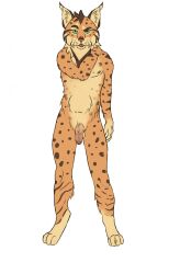 anthro bobcat felid feline fenderr foreskin genitals green_eyes head_tuft hi_res humanoid_genitalia humanoid_penis lynx male mammal penis solo spots tight_foreskin tuft vein veiny_penis