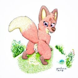 absurd_res animal_genitalia animal_pussy anus ass canid canine canine_genitalia canine_pussy cute_expression cute_eyes female feral fox genitals hi_res jungledyret_hugo mammal peeing pussy red_fox rita_(jungledyret) shy solo tail yordraw