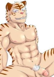 anthro balls biceps felid feline fur genitals humanoid_genitalia humanoid_hands humanoid_penis ilan1985 male mammal muscular muscular_anthro muscular_male navel nipples nude pantherine pecs penis smile solo solo_focus solo_male stripes tiger