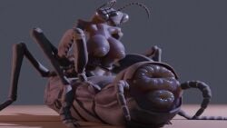 1girls abdomen animated anus arthropod arthropod_abdomen breasts busty_feral female female_only insects mantis mantis_girl mantis_humanoid puffy_anus puffy_pussy pulsing pussy solo solo_female solo_focus tagme video zevex