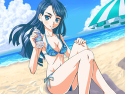 beach minazuki_karen nishiwaki precure pretty_cure small_breasts swimsuit tagme