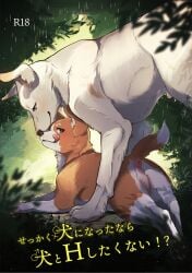 2023 absurd_res animal_genitalia anus barely_visible_genitalia barely_visible_sheath canid canine canis comic cover cover_art cover_page digital_media_(artwork) dipstick_tail domestic_dog doujinshi duo featureless_crotch female feral fluffy fluffy_tail fur genitals grass hi_res japanese_text lying male male/female mammal markings momou mouth_closed multicolored_body multicolored_fur nose_to_nose on_front on_top orange_body orange_fur outside plant quadruped raining sheath tail tail_markings text tongue tongue_out two_tone_body two_tone_fur white_body white_fur