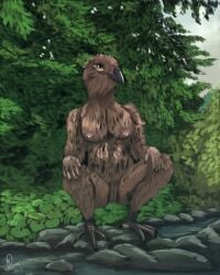 absurd_res anthro avian beak bird birdtember breasts creek crouching feathers female forest galliform hi_res leaf light nipples nude phasianid plant rock serene sky solo sunlight tree water yenocwolf