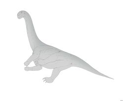 2024 absurd_res ambiguous_gender animal_genitalia ass camarasaurid camarasaurus claws cloaca countershading digital_media_(artwork) dinosaur feral genitals grey_body hi_res long_neck looking_back lying on_side pink_cloaca prehistoric_species reptile sauropod sauropodomorph scalie simple_background solo tail three-quarter_view toe_claws white_background zw3