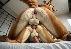 ai_generated anal anal_sex anal_sex anthro anthro_on_anthro anus canid canine detailed doggy_style doggy_style dominant erection fox from_behind furry gaping_anus gay gay_sex indoor low-angle_view male male/male on_bed orange_fur penis photorealism photorealistic realistic size_difference stable_diffusion tail viewed_from_behind