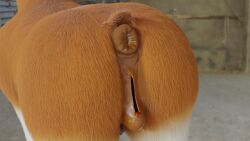 1girls animal_genitalia animal_pussy anus bodily_fluids clitoral_winking clitoris equid equine equine_genitalia equine_pussy female female_only feral furry genitals hair hi_res horse mammal ponut pussy rear_view solo solo_focus tyedie