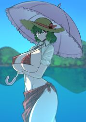 big_breasts bikini green_hair huge_breasts kazami_yuuka parasol red_eyes spacezin tagme touhou umbrella yuka_kazami yuuka_kazami