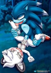 barby_koala bbmbbf diamond_level mobius_unleashed palcomix pietros_secret_club sega sonic_(series) sonic_the_hedgehog sonic_the_hedgehog_(series) sonic_the_werehog werehog