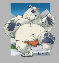 2023 anthro bear belly big_belly bulge clothing club_penguin feet fur grandbearkuma1 herbert_p._bear kumalove male mammal moobs navel overweight overweight_male polar_bear solo underwear ursine white_body white_fur