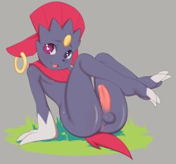 anthro anus ass balls bedroom_eyes colored erection generation_4_pokemon genitals grass hi_res humanoid_genitalia male narrowed_eyes nintendo open_mouth penis plant pokemon pokemon_(species) presenting sco0t seductive simple_background sitting sitting_on_ground solo weavile