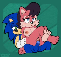 anthro archie_comics balls bodily_fluids breasts chipmunk duo eulipotyphlan feet female genital_fluids genitals ground_squirrel hedgehog hi_res male male/female mammal penis pussy pussy_juice rodent sally_acorn sciurid sega snailbail22 sonic_(series) sonic_the_hedgehog sonic_the_hedgehog_(archie) sonic_the_hedgehog_(comics) sonic_the_hedgehog_(series) spindasher98