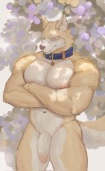 abs anthro balls biceps canid canine canis casual_nudity collar collar_only detailed_background domestic_dog fur genitals hi_res humanoid_genitalia humanoid_hands humanoid_penis male mammal manly mrnightowlww muscular muscular_anthro muscular_male nature navel nipples nude outdoor_nudity outside pecs penis solo