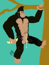 abs anthro ape balls biceps bodily_fluids casual_nudity erection feet genital_fluids genitals gorilla gorrizz haplorhine humanoid_genitalia humanoid_hands humanoid_penis male mammal monkey monkey_feet muscular muscular_anthro muscular_male nature nude outdoor_nudity outside pecs penis plant prehensile_feet primate solo