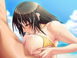 aoi_nagisa_(artist) beach bikini breasts brown_hair censored cum cum_in_mouth cum_on_breasts cum_on_hair cum_on_upper_body facial fellatio female hair huge_breasts kozue_nanba male okaa-san_ga_ippai oral paizuri penis straight swimsuit