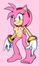 1girls amy_rose anthro bracelet eulipotyphlan female hair hedgehog hi_res humanoid jewelry mammal pink_hair randomguy999 sega solo solo_focus sonic_(series) sonic_the_hedgehog_(series)