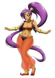 1girls belly_dancer belly_piercing blue_eyes cleavage collar dark-skinned_female female female_only genie grimbyslayer harem_girl harem_outfit harem_pants large_breasts long_hair pointy_ears ponytail purple_hair shantae shantae_(character) slippers solo tiara very_long_hair