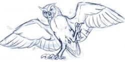 ass bird ezylryb feral gay guardians_of_ga'hoole owl raised_leg talons