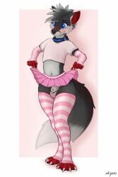 animal_genitalia anthro blue_eyes blush bottomwear canid canine clothed clothing clothing_lift collar footwear fox genitals girly hi_res male mammal sheath shirt skirt skirt_lift skyvo socks solo standing topwear