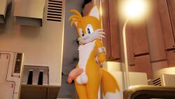 3d angry anthro balls bondage bound canid canine digital_media fox genitals hi_res looking_at_viewer male male_only mammal nude penis sega solo sonic_(series) sonic_the_hedgehog_(series) tails tied_to_pole twintails3d