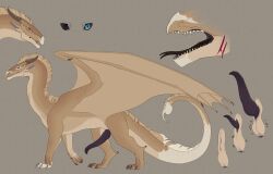 absurd_res animal_genitalia balls dragon erection feral genitals hi_res kierkieran male model_sheet open_mouth penis sandwing_(wof) scalie sear(wof) slit solo tongue western_dragon wings wings_of_fire