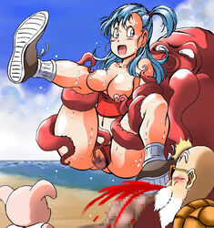 bulma from dragon ball by takimoto dojo