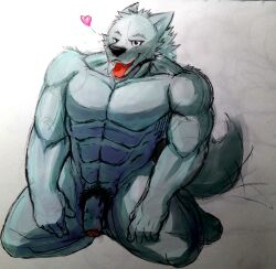 abs absurd_res anthro balls biceps canid canine canis casual_nudity flaccid foreskin fur genitals hi_res humanoid_genitalia humanoid_hands humanoid_penis male mammal muscular muscular_anthro muscular_male nude pecs penis plantigrade pubes ricecakekain simple_background solo wolf