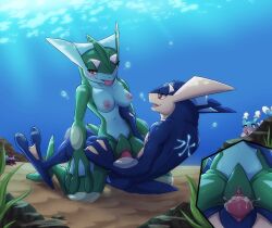 absurd_res ambiguous_gender amphibian anthro anthro_on_anthro anthro_penetrated anthro_penetrating anthro_penetrating_anthro bieng_watched blush breasts brionne covering covering_face donutella duo eye_contact female female_penetrated from_front_position generation_6_pokemon generation_7_pokemon greninja hi_res intraspecies looking_at_another male male/female male_penetrating male_penetrating_female mastery_position membrane_(anatomy) nintendo nipples non-mammal_breasts non-mammal_nipples penetration penile penile_penetration penis_in_pussy pokemon pokemon_(species) sex tongue tongue_out underwater vaginal_penetration vaginal_penetration water webbed_feet webbed_hands