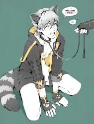 2boys animal_tail caelus_(honkai:_star_rail) crimson_roach dan_heng gay gloves gray_hair hearts honkai:_star_rail leash leash_and_collar male on_all_fours on_knees racoon_tail smiling smiling_at_partner tagme yaoi yellow_eyes