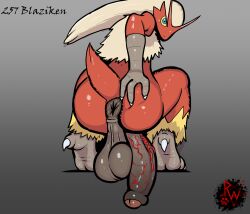 blaziken from nintendo by rapistwerewolf