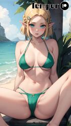 Zelda (Tears Of The Kingdom) Rule 34 Image
