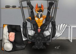 Anal Rule 34 Image